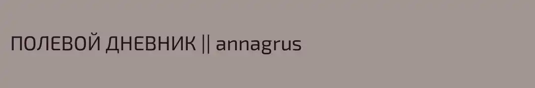 ПОЛЕВОЙ ДНЕВНИК || аnnagrus